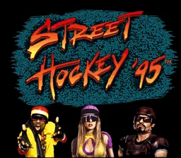 Street Sports Street Hockey 