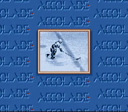 Brett Hull Hockey