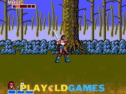 Golden Axe Warrior
