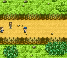 Harvest Moon