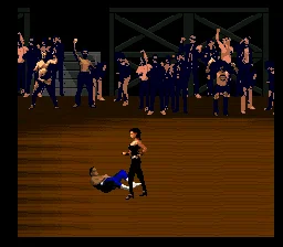 Pit Fighter