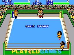 Pro Wrestling