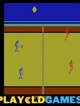 Realsports Volleyball