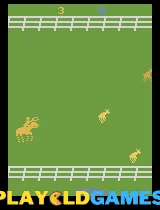 Stampede