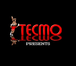 Tecmo Secret of the Stars